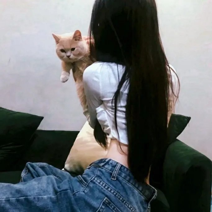 蕾切尔的婚礼