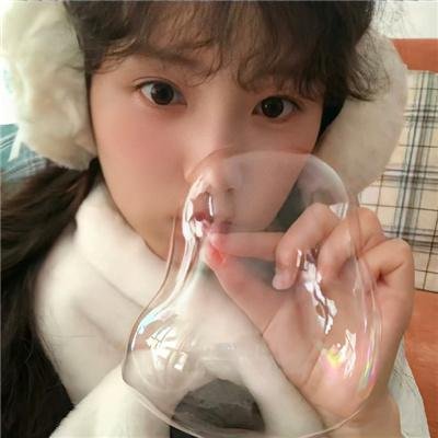 少女情怀尽是诗